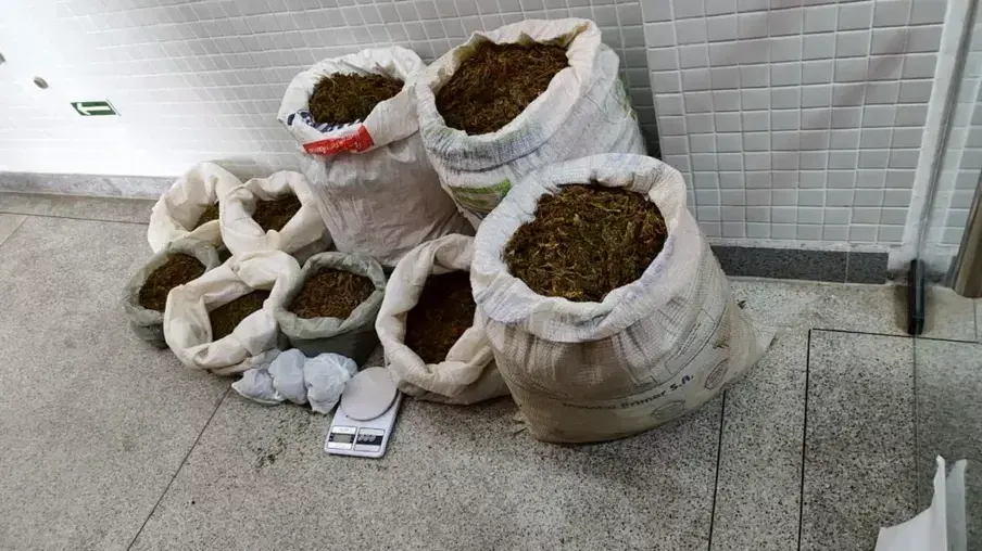 Operação Alvorada combate tráfico de drogas no interior da Bahia
