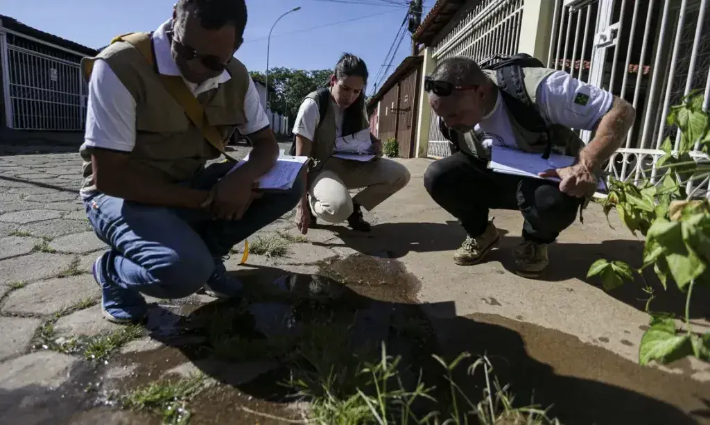 Sábado será Dia D de mobilização contra a dengue em todo o Brasil