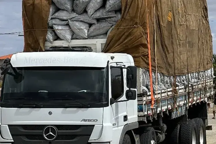 Fruto de desmatamento em Guanambi, carga de carvão vegetal é apreendida